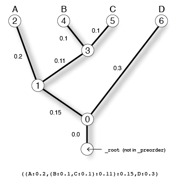 Four-taxon rooted tree showing corresponding newick string