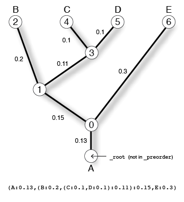 five-taxon unrooted tree showing corresponding newick string