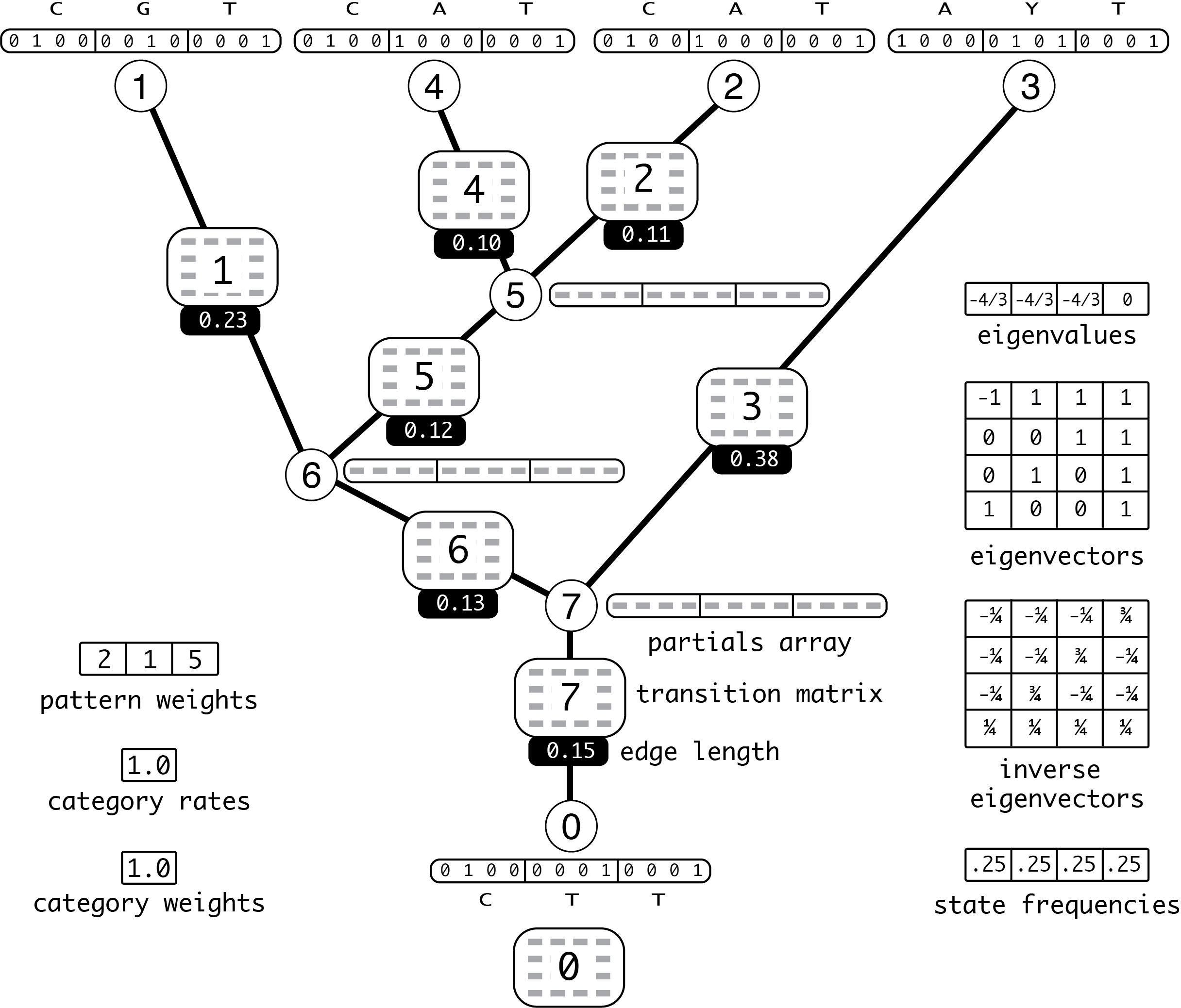 data elements needed by BeagleLib to compute the likelihood